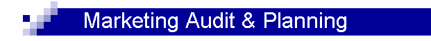 Marketing Audit & Planning