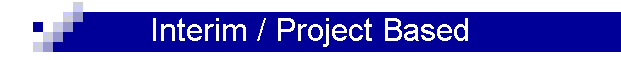 Interim / Project Based